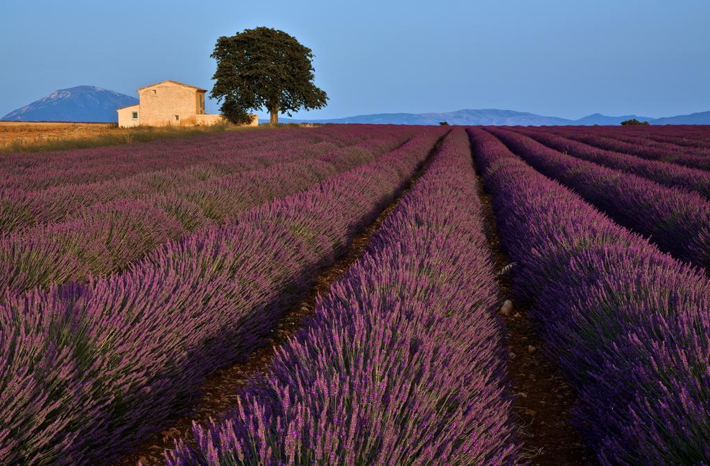 La Maison Des Collines Hotell Allemagne-en-Provence Exteriör bild